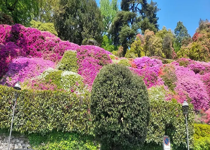 Cozy Hideaway Above Дом отдыха *