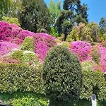 Cozy Hideaway Above בית נופש *